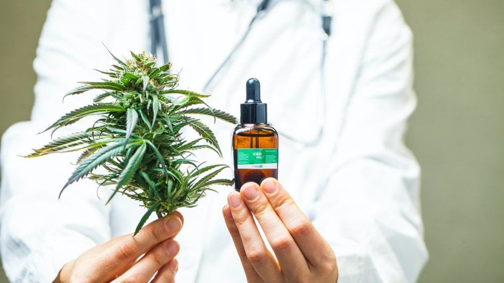 Θεραπευτική-κάνναβη:-5.430-πράξεις-ελέγχου-θα-πραγματοποιηθούν-έως-το-2025