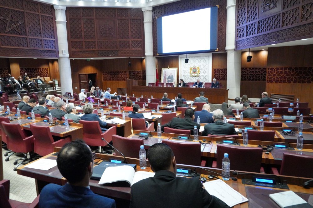 plf-2026:-τι