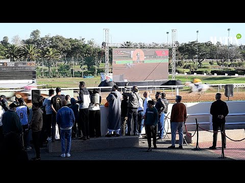 mim-2025-:-le-pur-sang