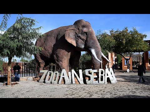 casablanca-:-le-zoo-de-ain-sebaa,-entierement-rehabilite,-ouvre-ses-portes-au-public