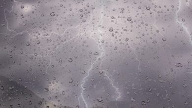 fortes-pluies,-chutes-de-neige-et-vent-fort,-vendredi-et-samedi,-dans-plusieurs-provinces-(bulletin-d