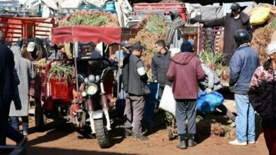 hausse-des-prix-des-legumes-sous-leffet-des-pluies-et-des-difficultes-de-recolte