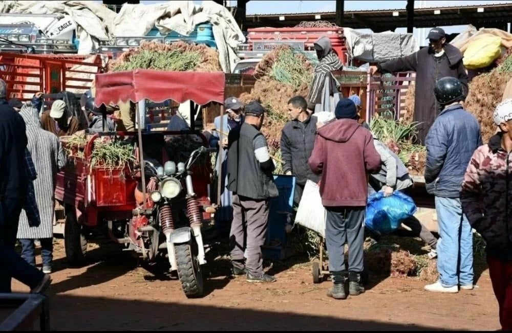 hausse-des-prix-des-legumes-sous-leffet-des-pluies-et-des-difficultes-de-recolte