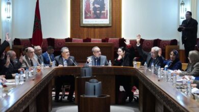 Υιοθέτηση-τροποποιημένης-έκδοσης-του-νόμου-περί-πολιτικής-δικονομίας,-κατόπιν-παραπομπής-από-το-Συνταγματικό-Δικαστήριο