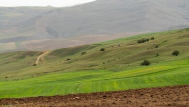 Από-τον-ουρανό,-το-Μαρόκο-πρασινίζει:-η-βροχή-και-το-χιόνι-δίνουν-νέα-πνοή-στο-τοπίο