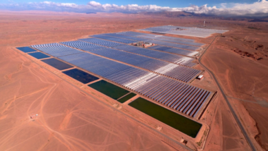 solaire-:-noor-ouarzazate-i-bat-son-record-historique-et-reaffirme-le-pari-marocain-sur-le-csp