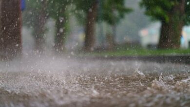 chutes-de-neige-et-fortes-pluies-:-l