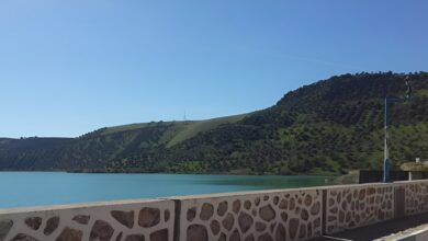 lonee-etudie-loption-du-pompage-turbinage-a-la-centrale-hydroelectrique-allal-el-fassi