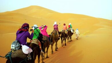 tourisme-:-le-maroc-prepare-une-nouvelle-generation-de-projets-innovants