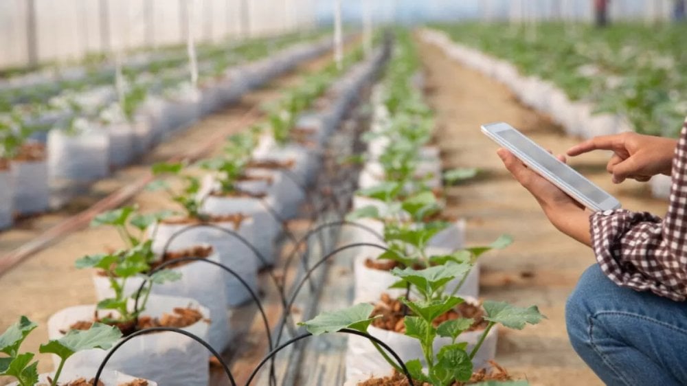 generation-green-2020-2030-:-lagriculture-relance-le-marche-devaluation-a-mi-parcours