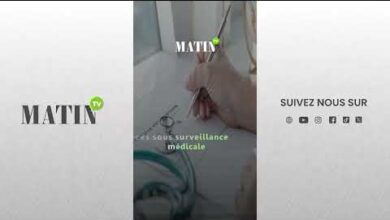 virus-nipah-:-ce-que-lon-sait-apres-les-cas-signales-en-inde