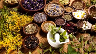 le-paradoxe-marocain-de-la-filiere-des-plantes-aromatiques-et-medicinales