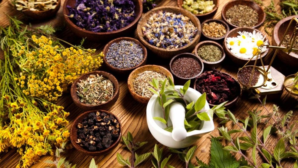 le-paradoxe-marocain-de-la-filiere-des-plantes-aromatiques-et-medicinales