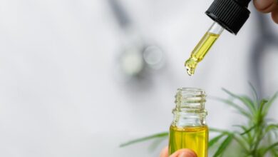 cannabis-medical-:-le-maroc-veut-produire-sa-propre-science