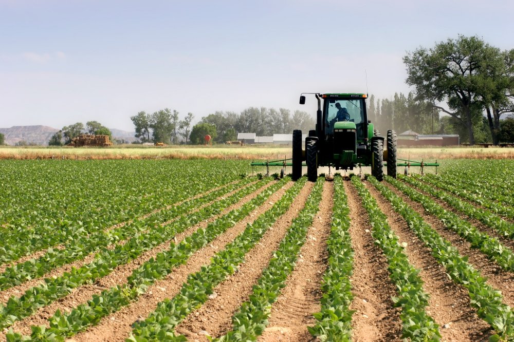 pluies-et-neige-relancent-la-campagne-agricole-:-des-indicateurs-en-nette-amelioration-(el-bouari)