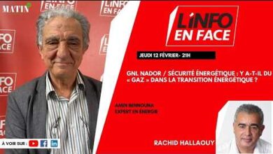 gnl-nador-et-transition-energetique-:-amin-bennouna-invite-de-linfo-en-face