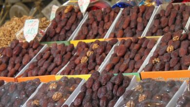 dattes-:-forte-demande,-les-varietes-marocaines-resistent-aux-importations