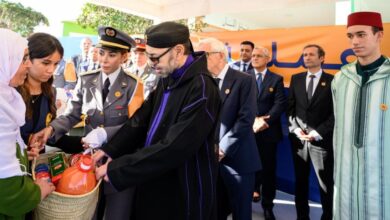 sa-majeste-le-roi-lance-a-sale-l