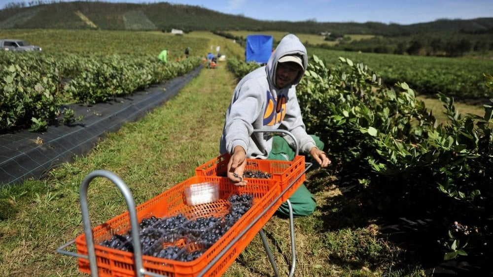 espagne-:-80%-des-nouveaux-emplois-crees-occupes-par-des-immigres