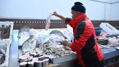 ramadan-:-les-prix-du-poisson-en-hausse,-les-consommateurs-sous-pression