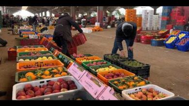 ramadan-:-les-prix-des-fruits-et-legumes-grimpent-malgre-une-offre-abondante