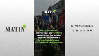ramadan-:-pourquoi-les-prix-des-legumes-fluctuent-au-marche-de-gros