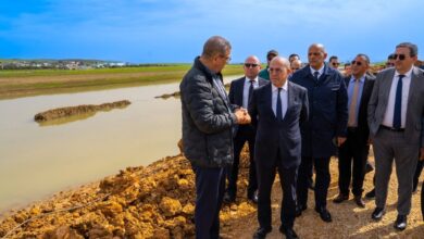 inondations-:-105.000-hectares-sinistres-dans-le-gharb-et-le-loukkos,-un-plan-de-relance-agricole-lance