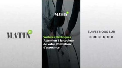 voitures-electriques-:-attention-a-la-couleur-de-votre-attestation-dassurance