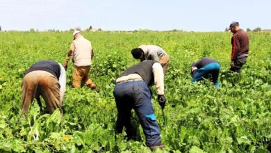 emploi-rural-:-un-programme-de-formation-de-40.000-jeunes-a-linitiative-entrepreneuriale