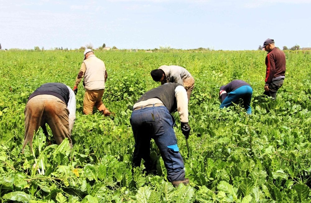 emploi-rural-:-un-programme-de-formation-de-40.000-jeunes-a-linitiative-entrepreneuriale