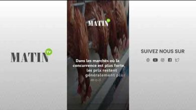 prix-du-poulet-:-des-ecarts-importants-entre-la-ferme-et-les-detaillants