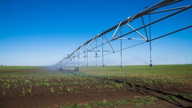 dessalement-et-irrigation-:-letat-prepare-la-securisation-hydrique-de-30.000-hectares-dans-la-moulouya