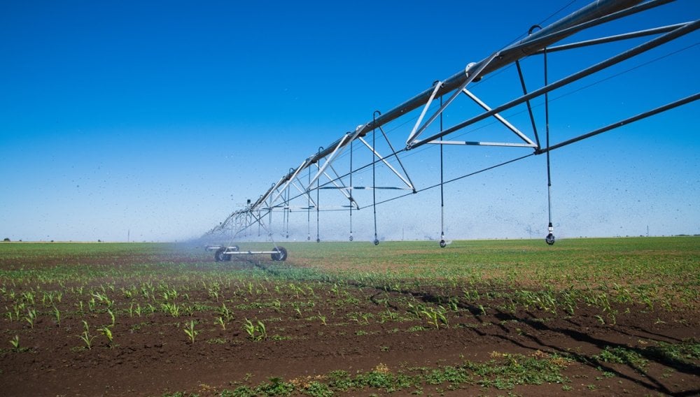 dessalement-et-irrigation-:-letat-prepare-la-securisation-hydrique-de-30.000-hectares-dans-la-moulouya