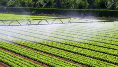 developpement-rural-:-un-million-dhectares-dirrigation-vises-dici-2030