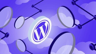 cyberattaques-:-la-dgssi-alerte-sur-des-failles-critiques-dans-des-extensions-wordpress