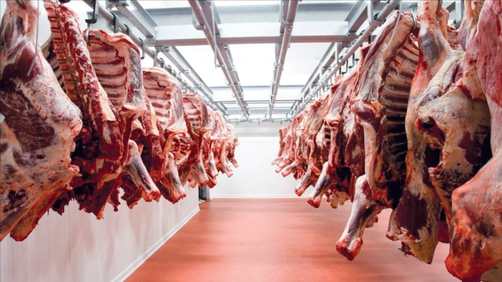 viande-rouge-:-un-repit-temporaire-sur-les-prix-grace-aux-importations,-avant-une-hausse-attendue-des-juin