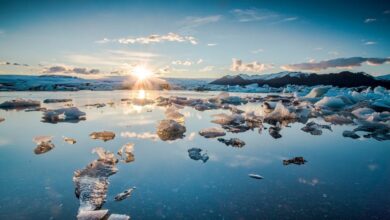 les-records-de-chaleur-senchainent-et-confirment-un-dereglement-climatique-sans-precedent