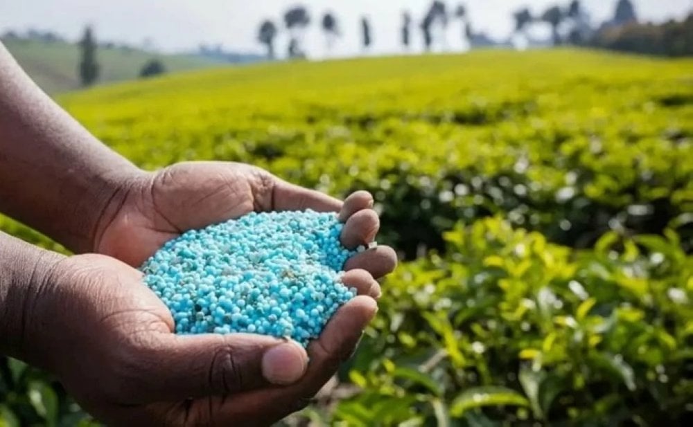 record-historique-des-exportations-marocaines-d