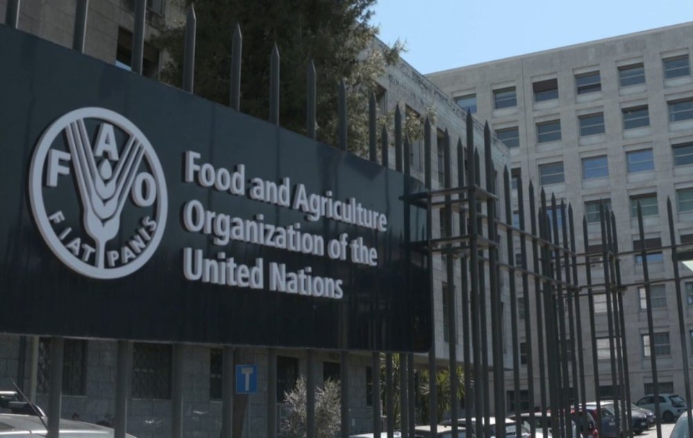 la-guerre-au-moyen-orient-a-provoque-les-perturbations-les-plus-severes-des-flux-des-matieres-premieres-de-l