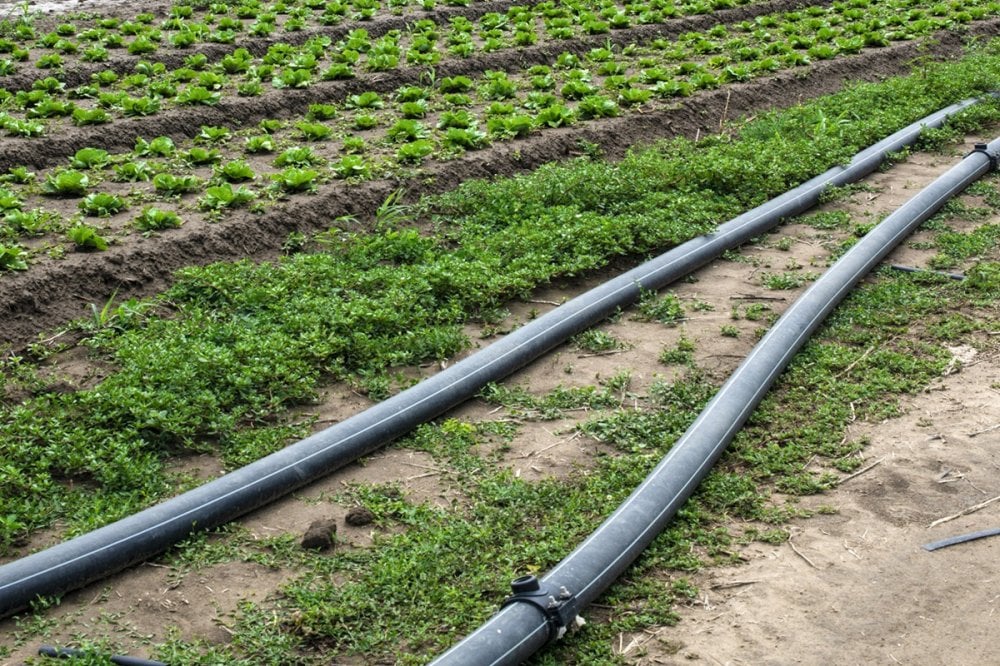 melkisation-dans-le-loukkos-:-lormval-veut-reorganiser-1.500-hectares-de-terres-collectives