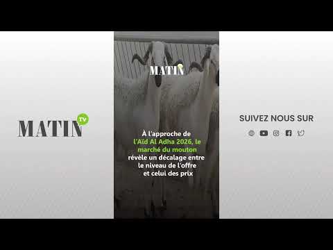 aid-al-adha-2026-:-pourquoi-les-prix-restent-eleves-malgre-l