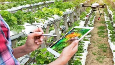 recherche-agricole-:-letat-recentre-ses-financements-sur-leau-et-le-climat