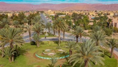 les-points-cles-des-nouveaux-programmes-de-developpement-territorial-integre