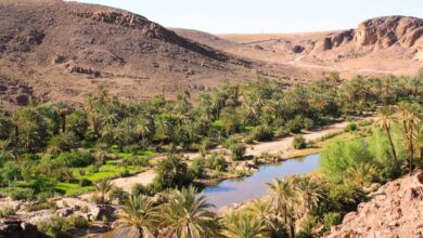 zagora-:-pres-de-624-mdh-pour-lamenagement-et-la-rehabilitation-des-oasis