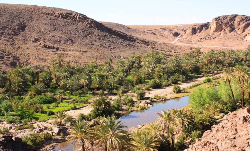 zagora-:-pres-de-624-mdh-pour-lamenagement-et-la-rehabilitation-des-oasis