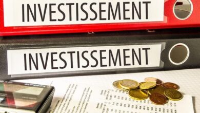 investissement-productif-:-le-gouvernement-mobilise-les-marocains-du-monde