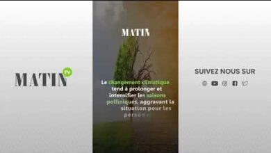 casablanca-:-un-nouveau-modele-de-gestion-des-parkings-en-preparation