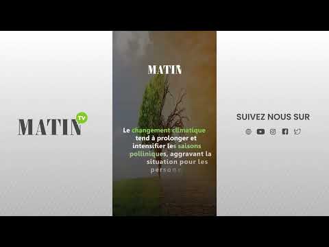 casablanca-:-un-nouveau-modele-de-gestion-des-parkings-en-preparation