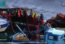 la-mer-en-silence-:-le-regard-engage-dune-jeune-reporter-sur-un-ecosysteme-en-danger