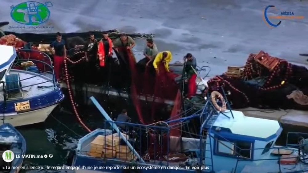 la-mer-en-silence-:-le-regard-engage-dune-jeune-reporter-sur-un-ecosysteme-en-danger